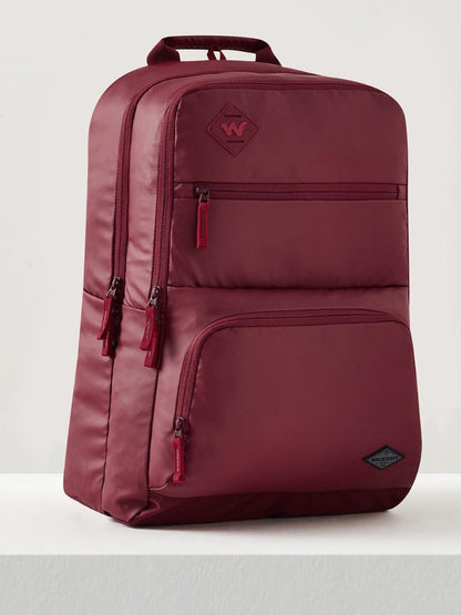 Evo Laptop Backpack 42 L (12961)